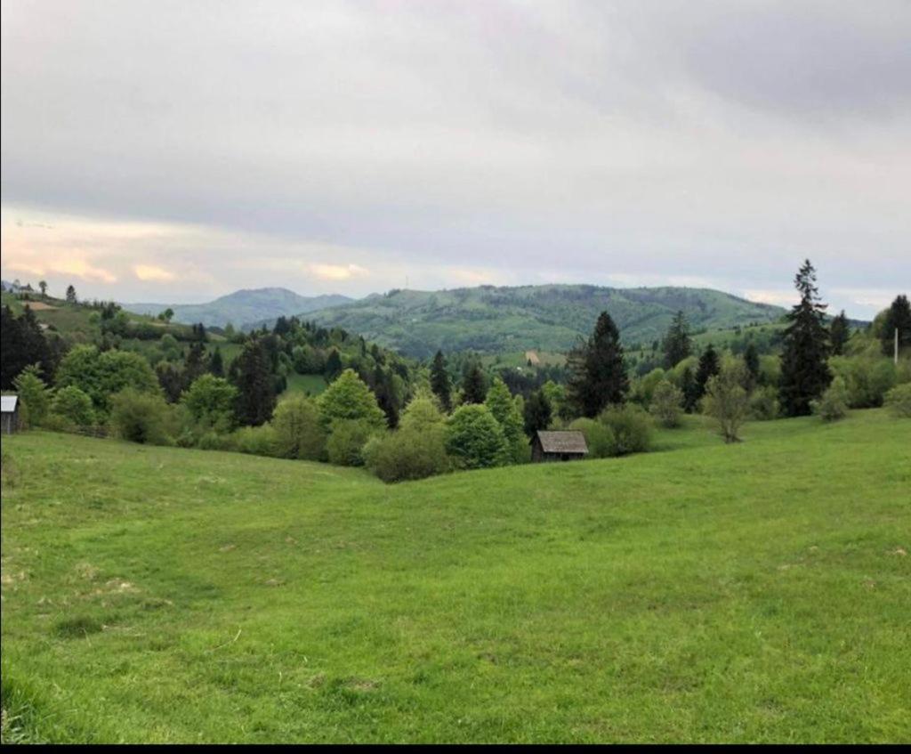 Pensiunea Trei Lalele Moisei Luaran gambar